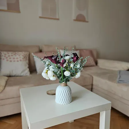 Cozy 3-room In Old Town Appartement Košice